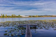Een dag aan het meer in de Werra Vallei van Oliver Hlavaty thumbnail