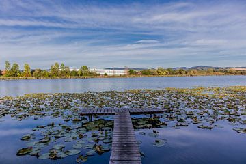 A day at the lake in the Werratal by Oliver Hlavaty