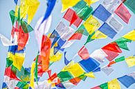 Flying prayer flags in Nepal. by Ron van der Stappen thumbnail