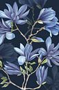 Magnoliatakken blue van Geertje Burgers thumbnail