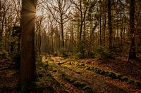 Sonnenaufgang Bergherbos