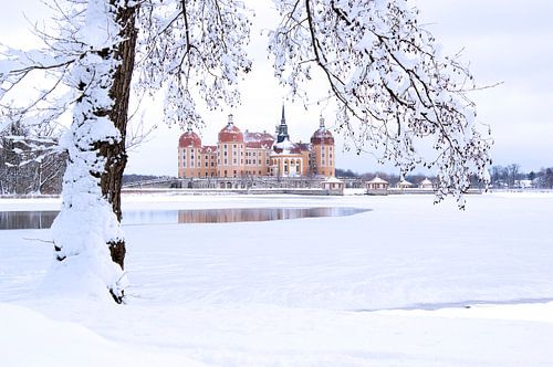 Kasteel Moritzburg in winter met sneeuw