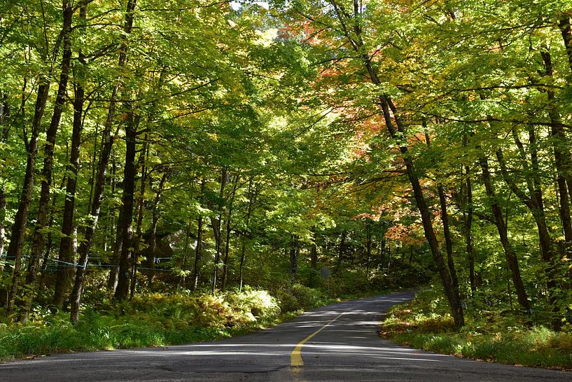Eine Landstraße im Herbst von Claude Laprise