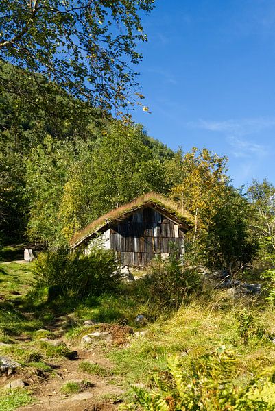 Cabane lors d'une randonnée dans le Geirangerfjord par Anja B. Schäfer