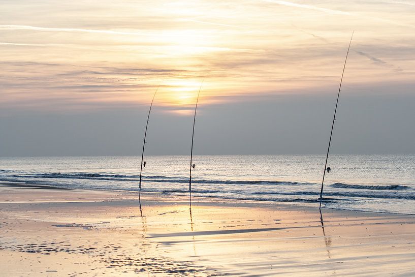 tiges sur la Noordwijkerstrand par Eric van Nieuwland
