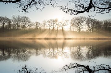 Morning Glow by Lisa Dumon