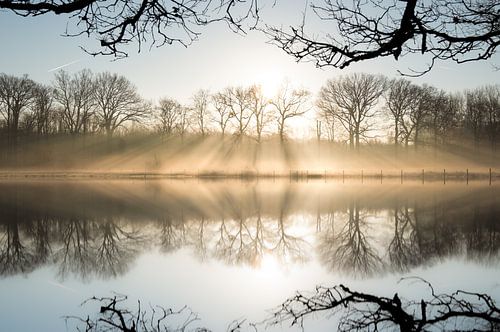 Morgenglühen von Lisa Dumon