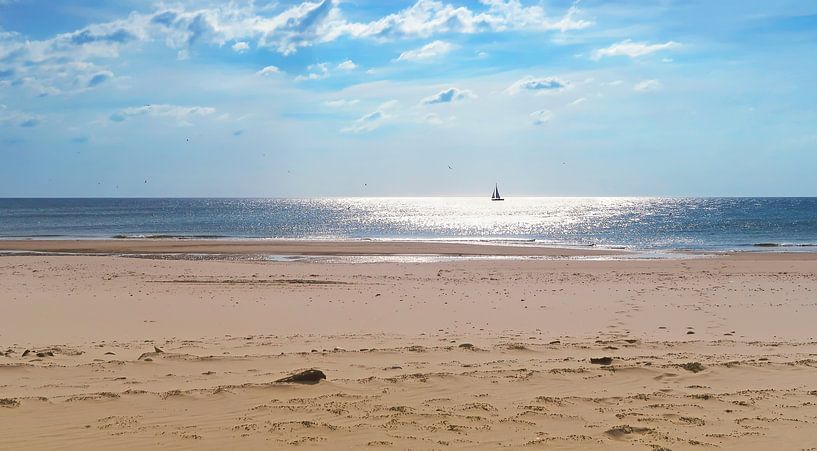 Strand von Bo Valentino