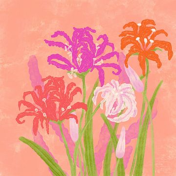 Strahlende Nerinen Blumen von Aliya Putrus