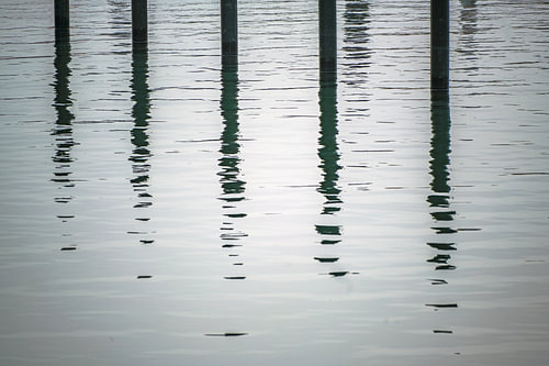 Schwarze Anlegepfähle oder Delphine mit Spiegelung im Wasser in