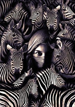Zebra von Bert Hooijer