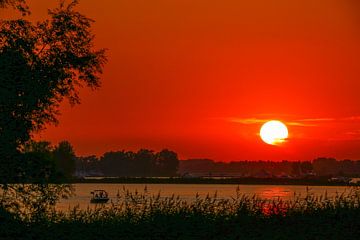 Sonnenuntergangs-Biesbosch bei Drimmelen! von Diana van Geel