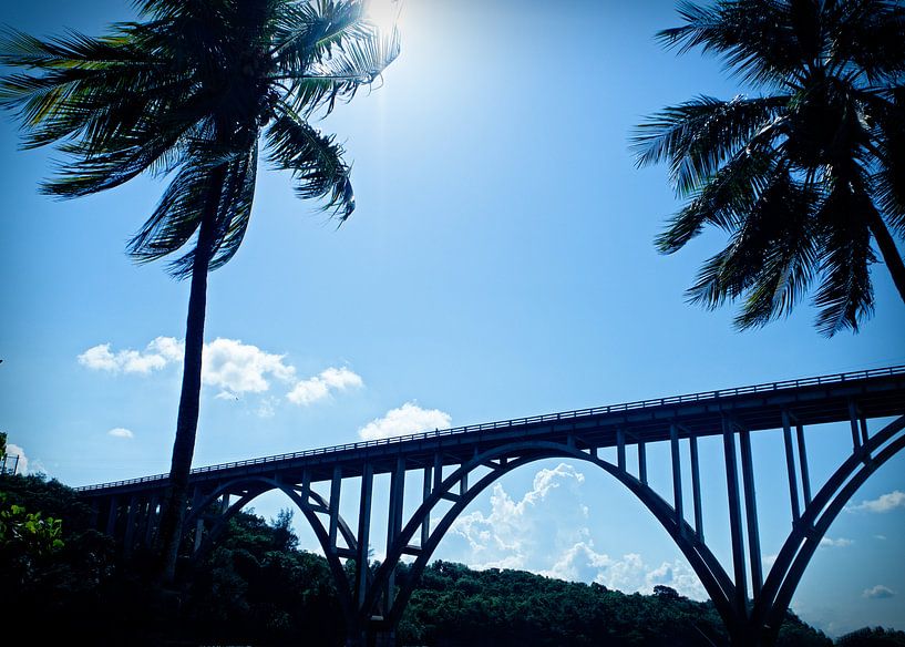 Moderne brug in Cuba von Ineke Huizing