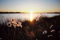 Coucher de soleil
