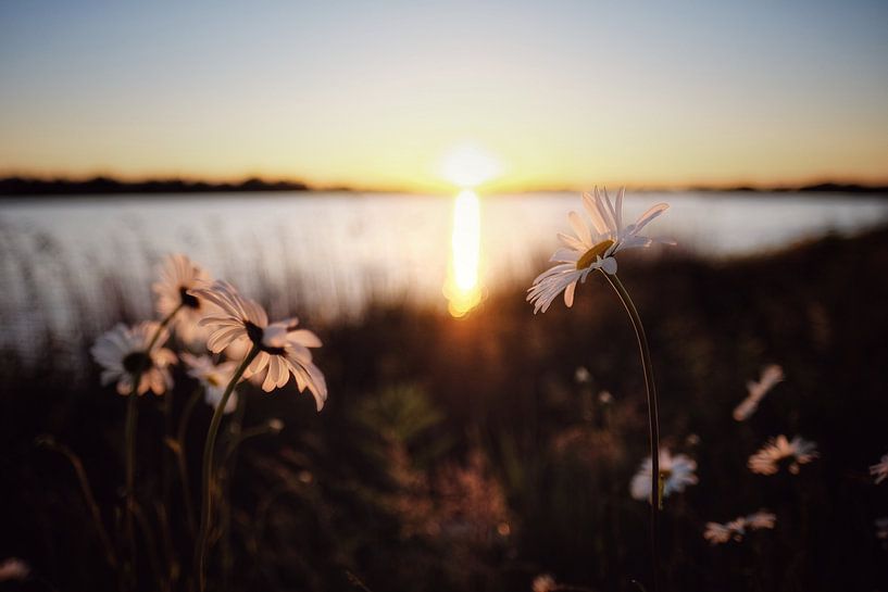 Sunset by Jacob Raymond de Boer