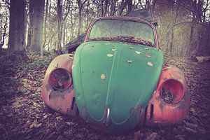 Voiture perdue dans la forêt