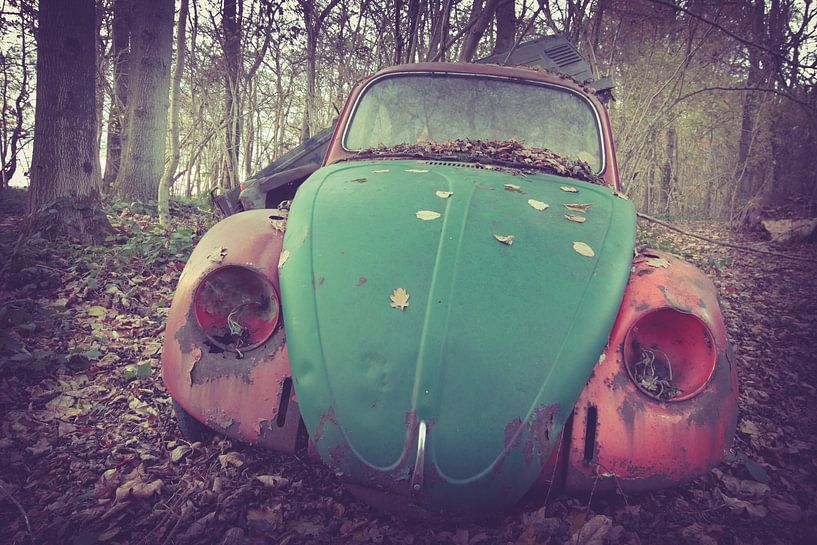 Lost car in the forest by On Your Wall