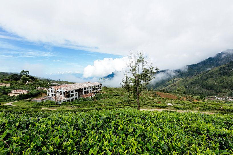 Abandoned teaplant in Sri Lanka von Gijs de Kruijf