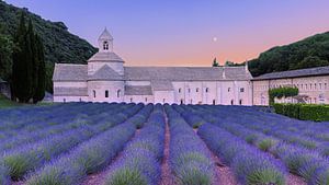 Sonnenaufgang mit Lavendel in der Abtei Sénanque, Frankreich