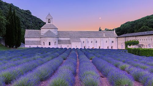 Zonsopkomst met lavendel bij de Abdij van Sénanque, Frankrijk