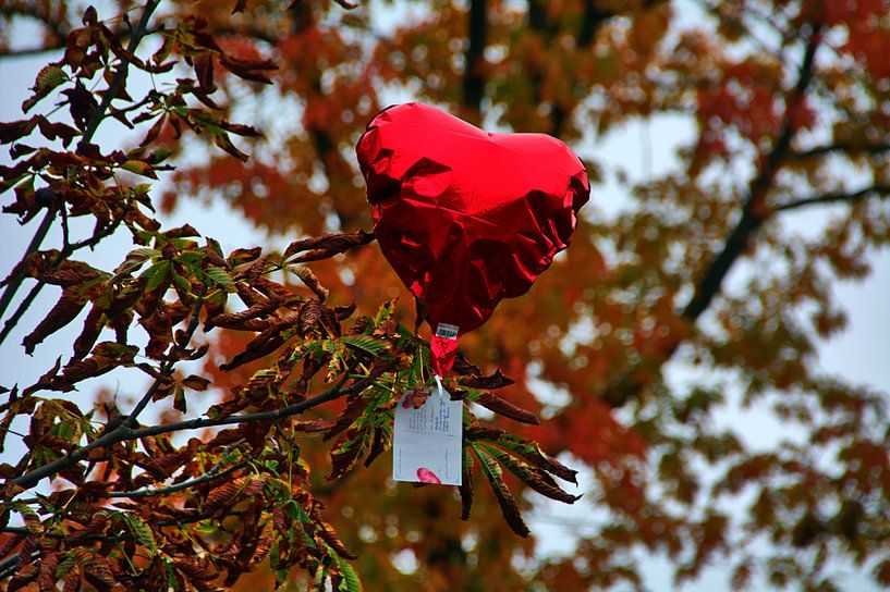 Het hart zit vast van Edgar Schermaul