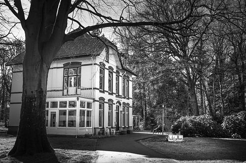 Het Witte Huis