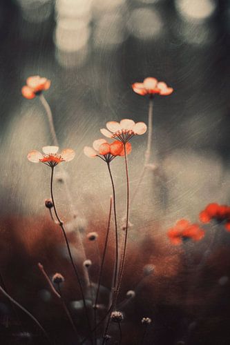 Nostalgic Nature No 2