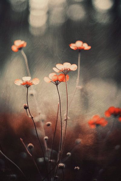 Nostalgic Nature No 2 by Treechild