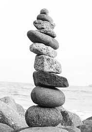 Garder l'équilibre sur Rafael Campezato