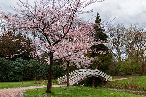 Le printemps au parc Egbert ten Cate, à Almelo