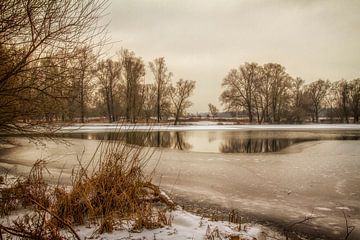 Eijsder Beemden in de winter by John Kreukniet