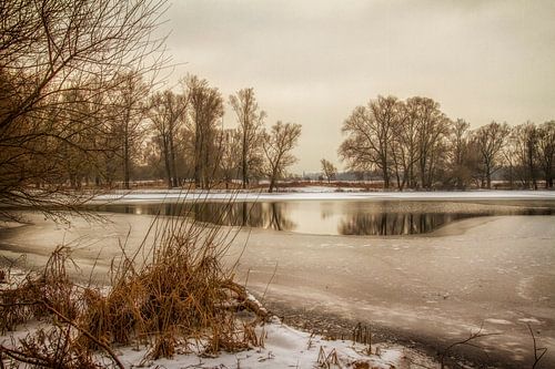 Eijsder Beemden in de winter