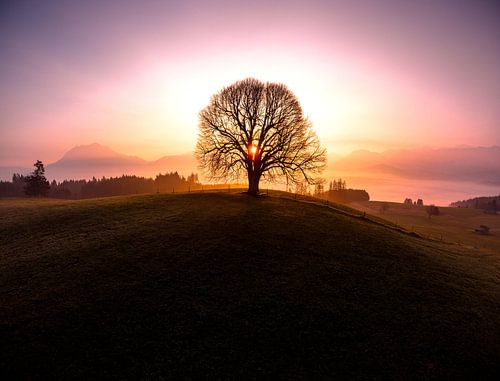 Mystieke sfeer voor de ochtend in de Allgäu