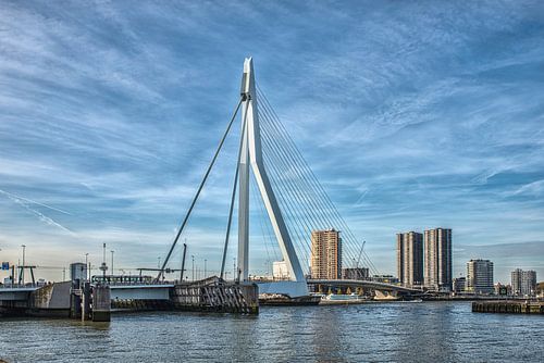 skyline of Rotterdam with the erasmus bridge over the river Maas with blue sky