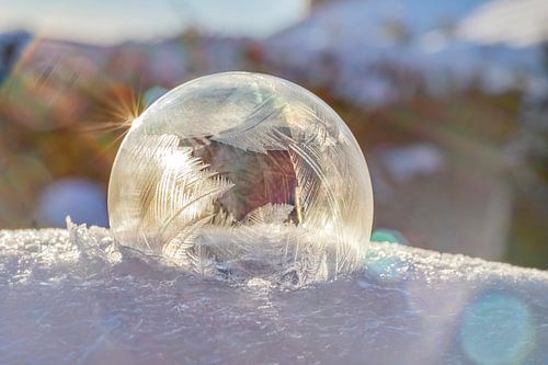 Frozen bubble 2021 soft