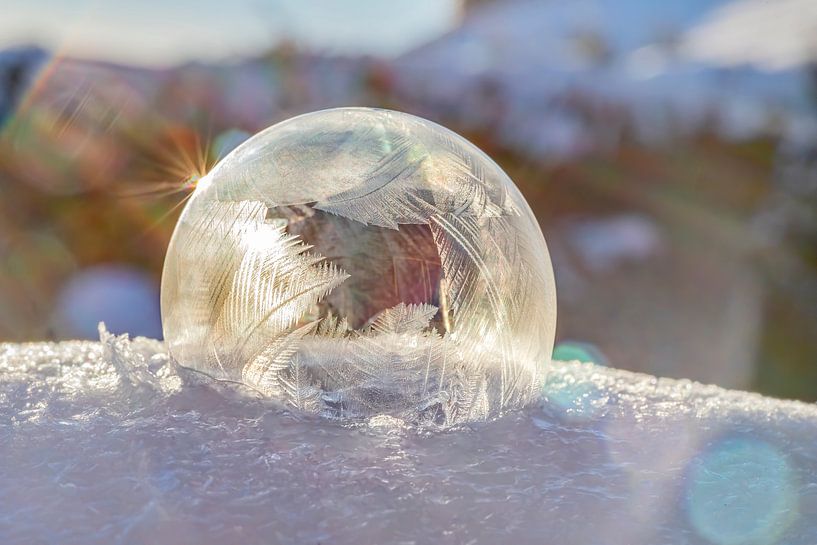 Frozen bubble 2021 soft by Stefanie van Dijk