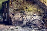 Bike in Abandoned Cellar. by Roman Robroek - Photos of Abandoned Buildings thumbnail