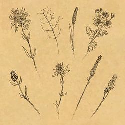 Blumen auf goldbraunem Hintergrund