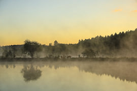 Paysage riverain des lacs de Schwackenreuter avant le lever du soleil, avec des bovins des Highlands écossais dans la brume matinale sur BlattArt - Christine Horn