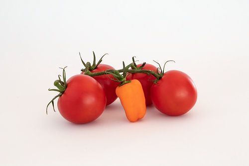 Fruit