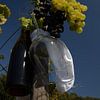 Grape picking Belgium by Dirk Smit