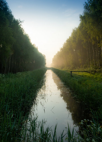 Lines in the landscape