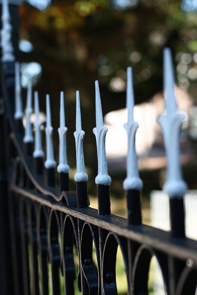 Fence van Leonie Versantvoort