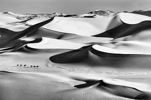 Sahara-Wüste. Männer vom Stamm der Tuareg. Kamelkarawane.