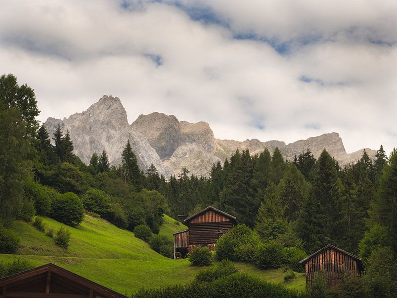 Alpine panorama in summer by Aurica Voss
