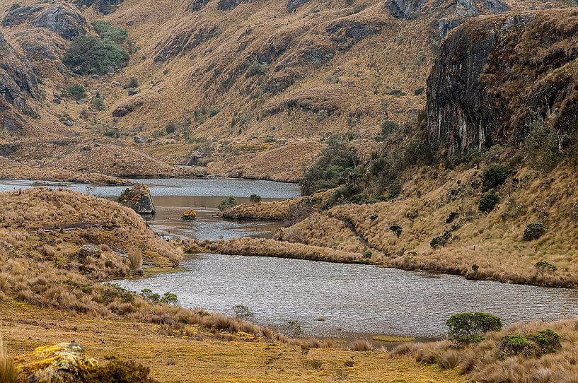 Ecuador: El Cajas National Park (Azuay) van Maarten Verhees