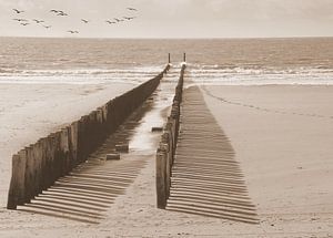 Stapelköpfe Zeeland in Sepia