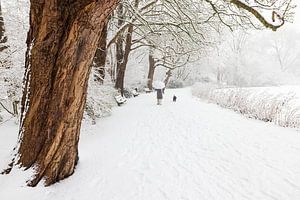 Promeneur dans la neige