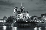 Kathedraal Notre Dame 's nachts, Parijs van Markus Lange thumbnail
