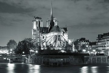 Kathedraal Notre Dame 's nachts, Parijs van Markus Lange